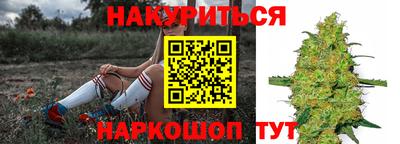 индика Ачхой-Мартан